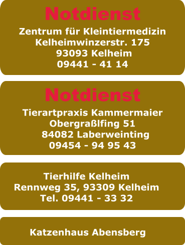 Katzenhaus Abensberg Tierhilfe Kelheim Rennweg 35, 93309 Kelheim Tel. 09441 - 33 32  Notdienst Zentrum für Kleintiermedizin Kelheimwinzerstr. 175  93093 Kelheim 09441 - 41 14 Notdienst Tierartpraxis Kammermaier Obergraßlfing 51   84082 Laberweinting  09454 - 94 95 43